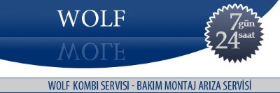 Atalar Wolf Kombi Servisi 0216 309 4025