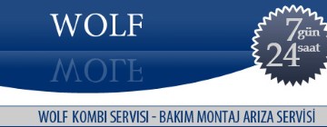 Fındıklı Wolf Kombi Servisi 0216 309 4025